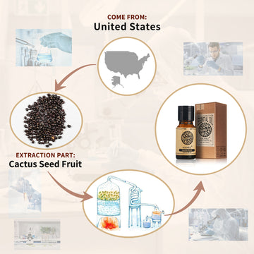 AKARZ DIY Aromatherapy Cactus Seeds Oil for Dry Hair Repair & Dandruff Reduction Improve Skin Tone Made in USA